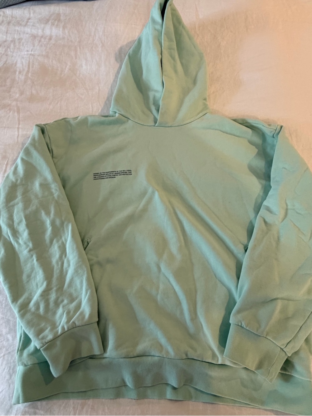 Pangaia Mint Green Hoodie Sweatshirt